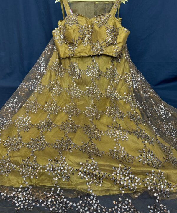 (SOLD) Beautiful Crop Top Golden Color Net Fabric With Sequence Work And Designer Blouse Matching Dupatta.