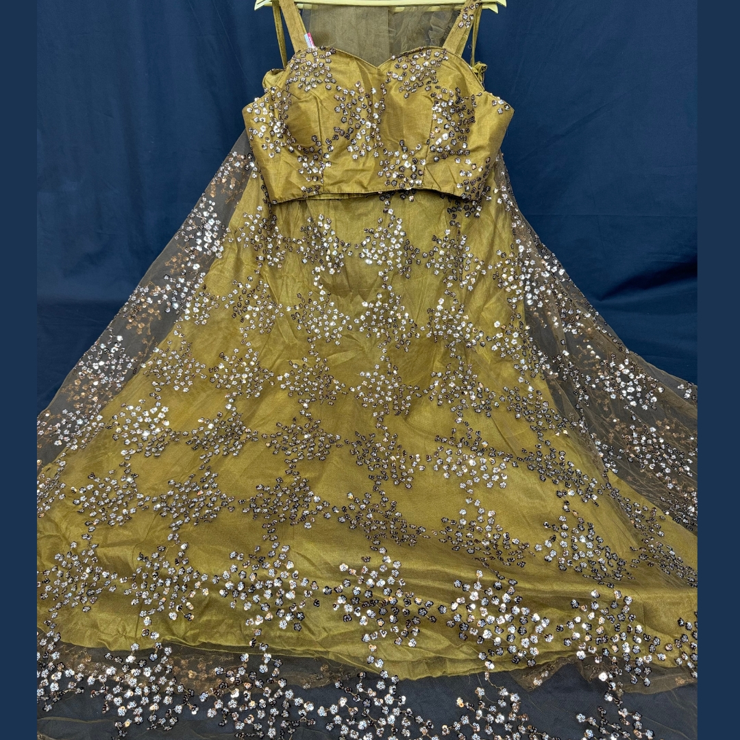 (SOLD) Beautiful Crop Top Golden Color Net Fabric With Sequence Work And Designer Blouse Matching Dupatta.