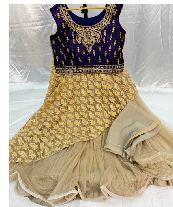 (SOLD) Beautiful Crop Top Heavy Ken Ken Full Flared Net Fabric Designer Blouse With Embroidery And Stone Work Comes With Net Dupatta.